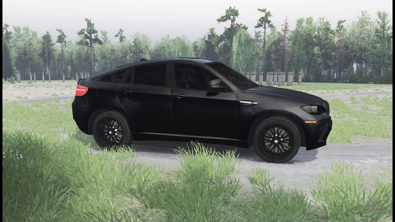 BMW X6 В SpinTires