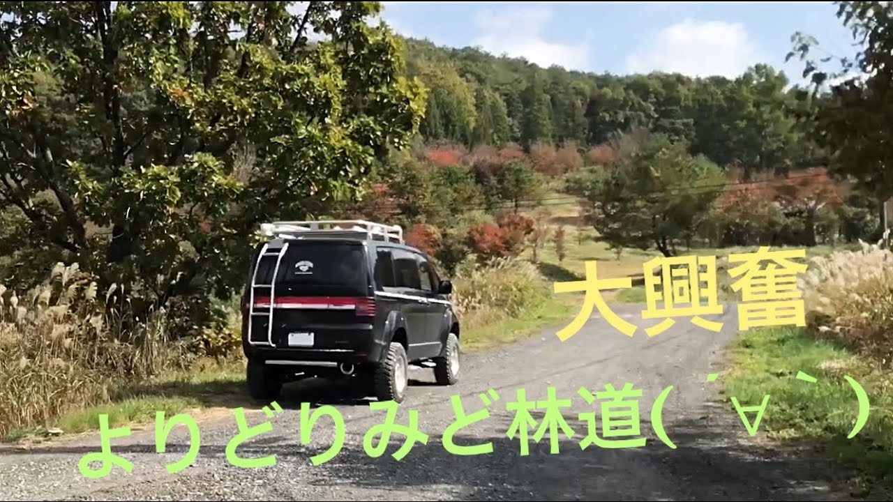 デリカD5 大興奮よりどりみど林道(≧∀≦)