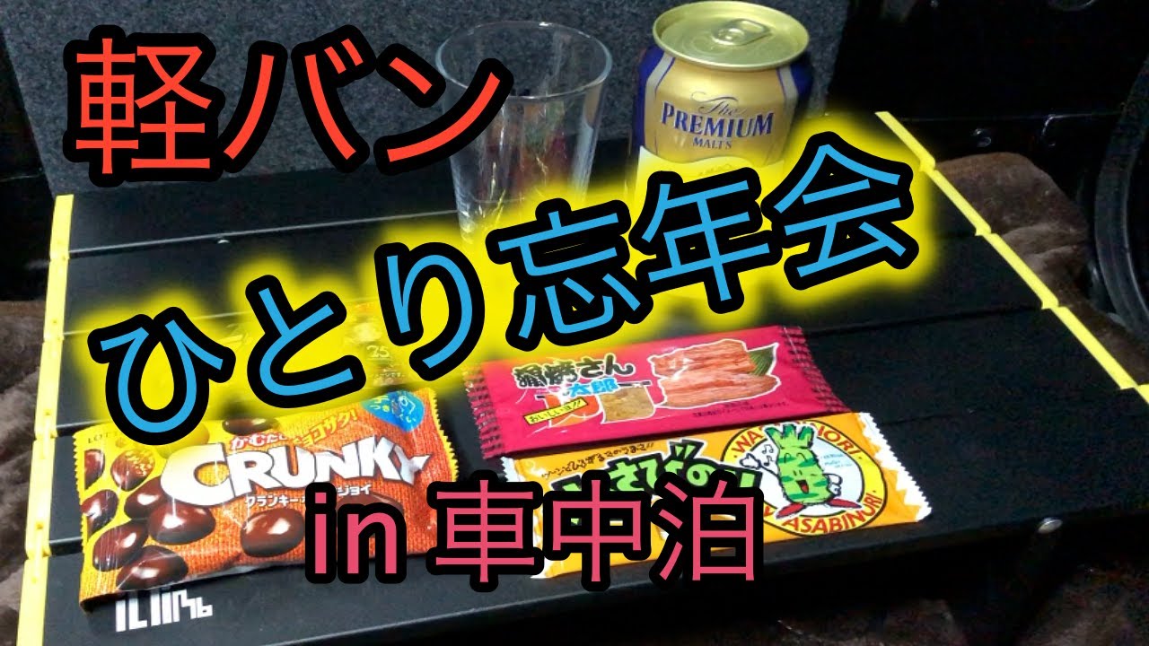 【軽バン 車中泊】ひとり忘年会してみた   in 車中泊