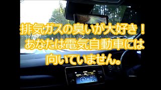 新型リーフオーナーの言いたい放題　電気自動車に向いていない方。排気ガス車に乗ろう！