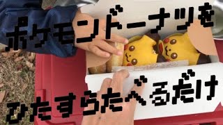 ★息子！！ひたすらポケモンを食らう〜！！☆キャンピングカー★ライトキャブコン☆