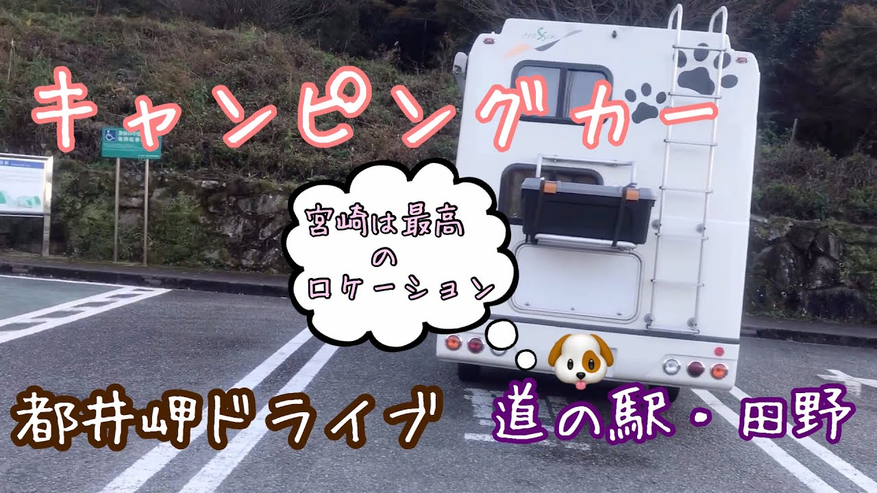 【キャンピングカー・車中泊・愛犬】次・何処行く？宮崎県・都井岬をドライブ🏝