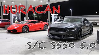 LAMBORGHINI HURACAN LP610-4 VS PAXTON SUPERCHARGED S550 MUSTANG 5.0 DIG RACE | 4K