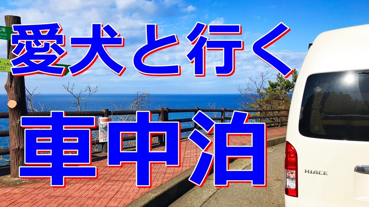 【冬の車中泊】バンコンで犬連れ旅「冬の旅②」