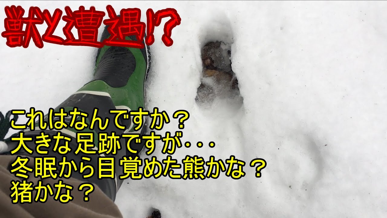 まったりジムニーと林道探索 終点庄内あつみ温泉【JB23】春の訪れ