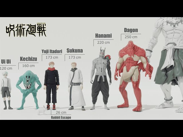 Jujutsu Kaisen  Size Comparison