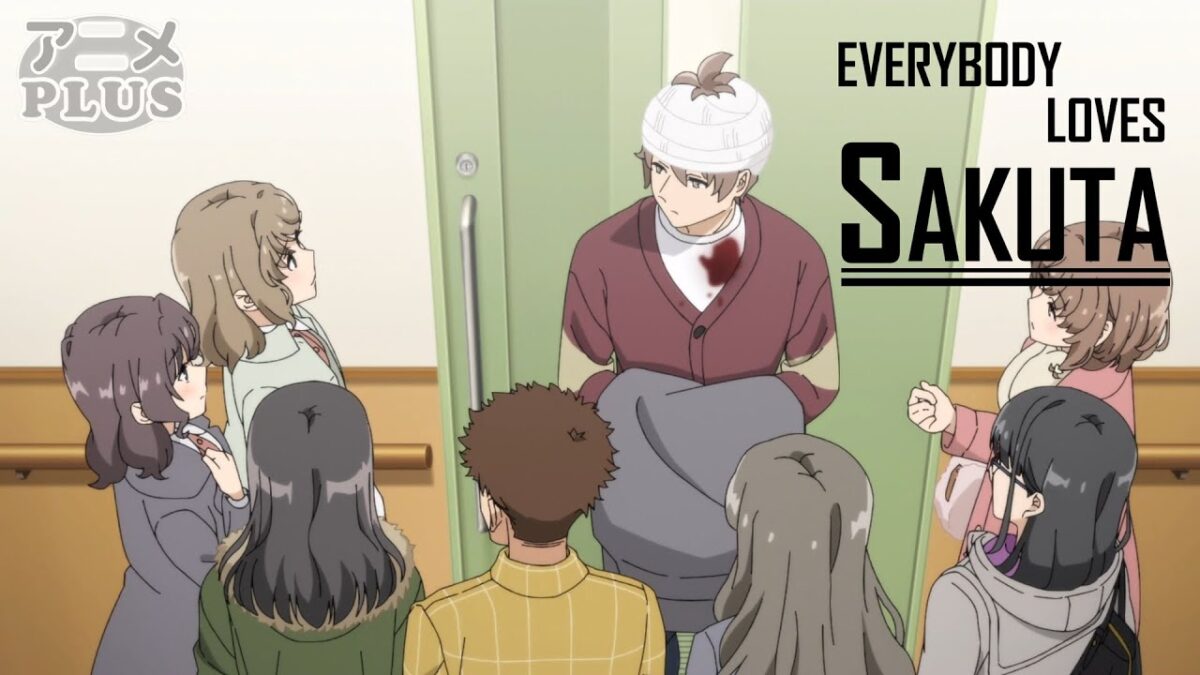Rascal Does Not Dream of His Girlfriend – Anime Plus 040